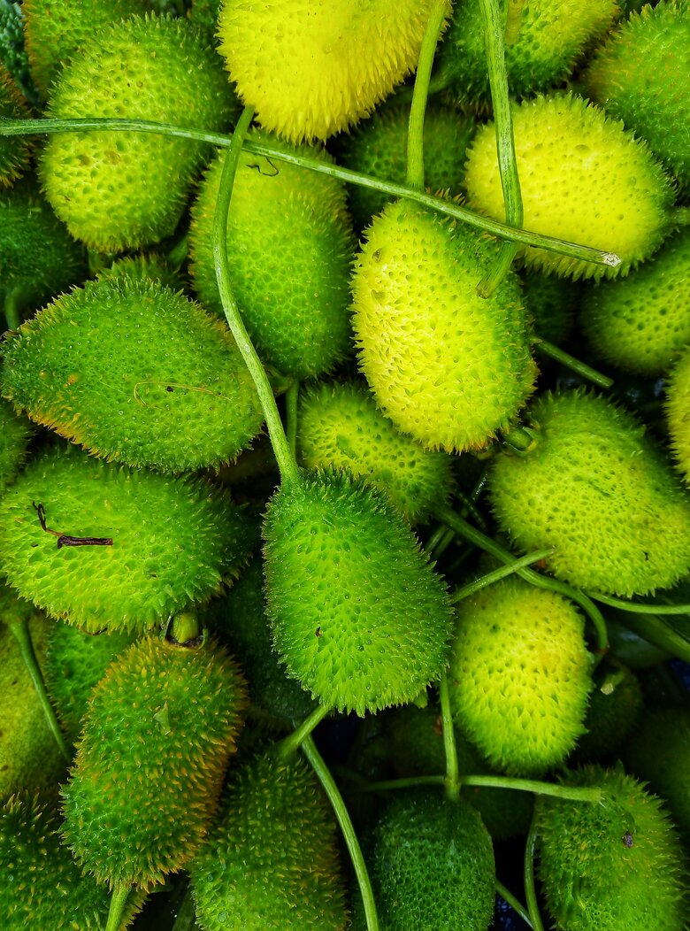 Fresh Vegetables
