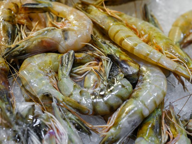 Whiteleg shrimp